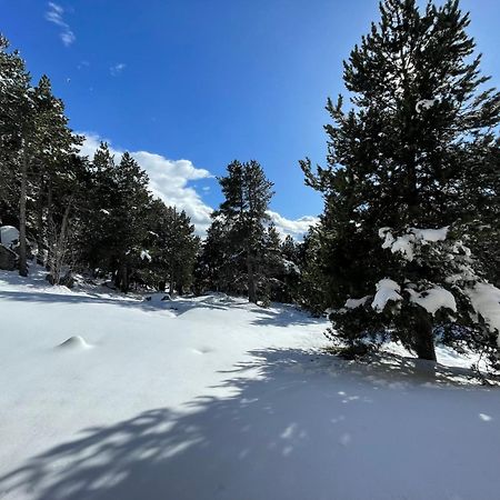 Joli Studio Pres De La Foret Font-Romeu-Odeillo-Via Zewnętrze zdjęcie